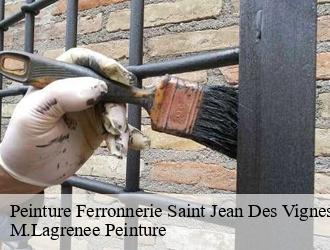 Peinture Ferronnerie saint-jean-des-vignes-69380 M.Lagrenee Peinture