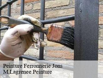 Peinture Ferronnerie jons-69330 M.Lagrenee Peinture