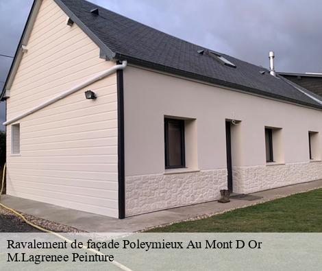 Ravalement de façade poleymieux-au-mont-d-or-69250 M.Lagrenee Peinture