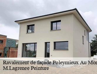 Ravalement de façade poleymieux-au-mont-d-or-69250 M.Lagrenee Peinture