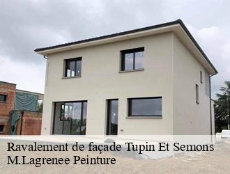 Ravalement de façade  tupin-et-semons-69420 M.Lagrenee Peinture