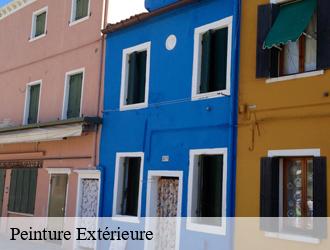 Peinture Extérieure condrieu-69420 M.Lagrenee Peinture