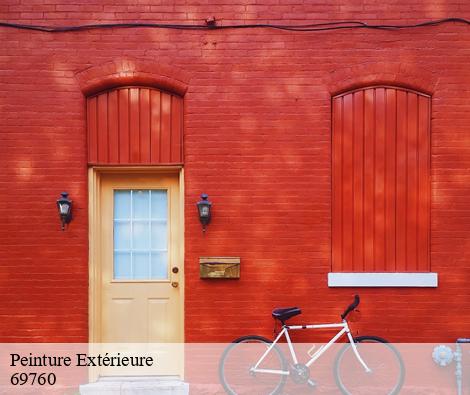 Peinture Extérieure limonest-69760 M.Lagrenee Peinture