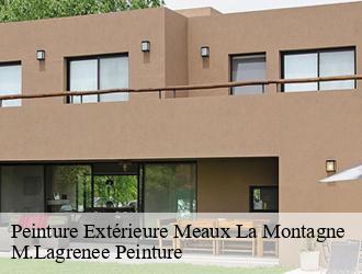 Peinture Extérieure meaux-la-montagne-69550 M.Lagrenee Peinture