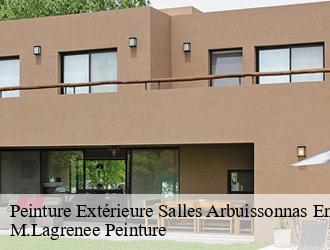 Peinture Extérieure salles-arbuissonnas-en-be-69460 M.Lagrenee Peinture