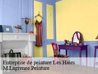 Entreprise de peinture les-haies-69420 M.Lagrenee Peinture