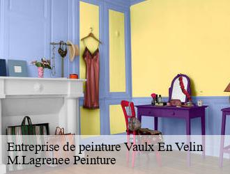 Entreprise de peinture vaulx-en-velin-69120 M.Lagrenee Peinture