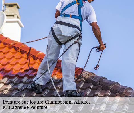 Peinture sur toiture chambosaint-allieres-69870 M.Lagrenee Peinture