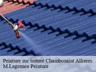 Peinture sur toiture chambosaint-allieres-69870 M.Lagrenee Peinture