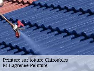 Peinture sur toiture chiroubles-69115 M.Lagrenee Peinture