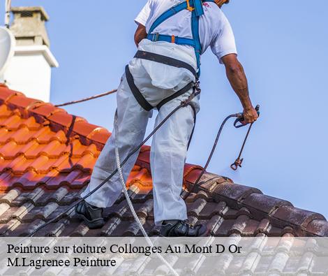 Peinture sur toiture collonges-au-mont-d-or-69660 M.Lagrenee Peinture