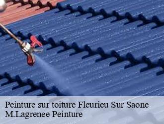 Peinture sur toiture fleurieu-sur-saone-69250 M.Lagrenee Peinture