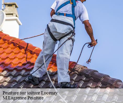 Peinture sur toiture lucenay-69480 M.Lagrenee Peinture