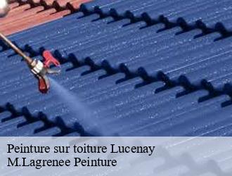 Peinture sur toiture lucenay-69480 M.Lagrenee Peinture