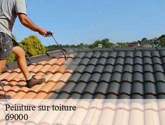 Peinture sur toiture lyon-69000 M.Lagrenee Peinture