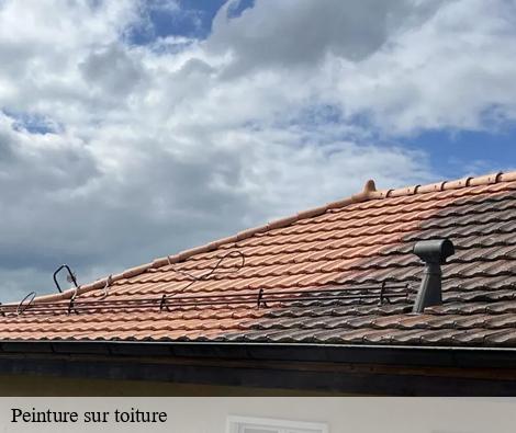 Peinture sur toiture lyon-69000 M.Lagrenee Peinture