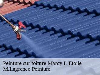 Peinture sur toiture marcy-l-etoile-69280 M.Lagrenee Peinture