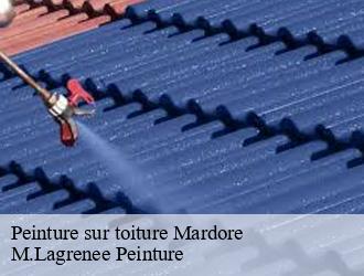 Peinture sur toiture mardore-69240 M.Lagrenee Peinture
