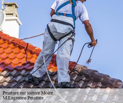 Peinture sur toiture moire-69620 M.Lagrenee Peinture
