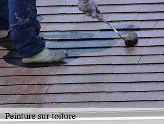 Peinture sur toiture moire-69620 M.Lagrenee Peinture