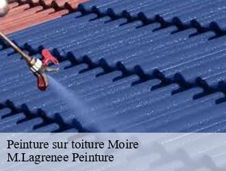 Peinture sur toiture moire-69620 M.Lagrenee Peinture
