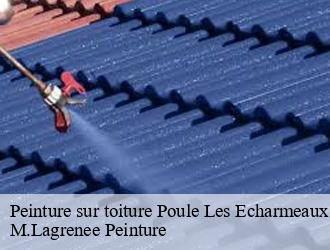 Peinture sur toiture poule-les-echarmeaux-69870 M.Lagrenee Peinture