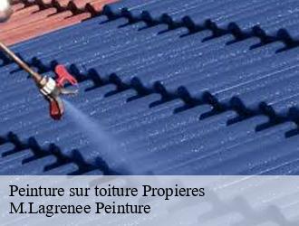 Peinture sur toiture propieres-69790 M.Lagrenee Peinture