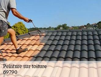 Peinture sur toiture propieres-69790 M.Lagrenee Peinture