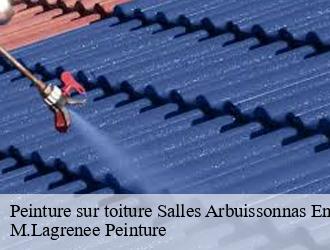 Peinture sur toiture salles-arbuissonnas-en-be-69460 M.Lagrenee Peinture