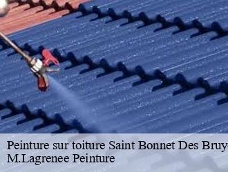Peinture sur toiture saint-bonnet-des-bruyeres-69790 M.Lagrenee Peinture