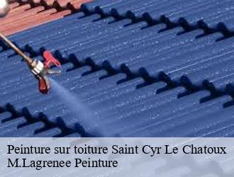 Peinture sur toiture saint-cyr-le-chatoux-69870 M.Lagrenee Peinture