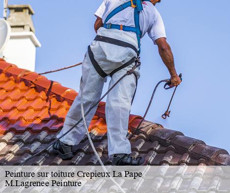 Peinture sur toiture crepieux-la-pape-69140 M.Lagrenee Peinture