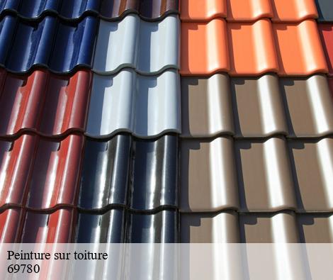 Peinture sur toiture mions-69780 M.Lagrenee Peinture