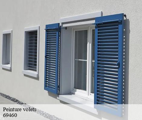 Peinture volets blace-69460 M.Lagrenee Peinture