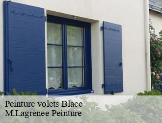 Peinture volets blace-69460 M.Lagrenee Peinture