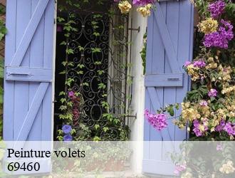 Peinture volets blace-69460 M.Lagrenee Peinture
