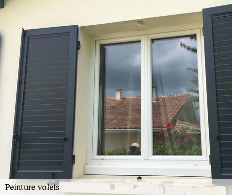 Peinture volets chassagny-69700 M.Lagrenee Peinture