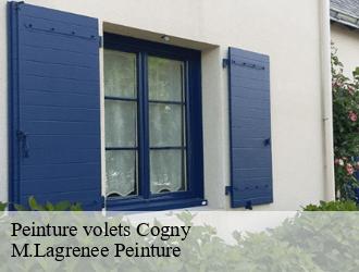 Peinture volets cogny-69640 M.Lagrenee Peinture