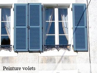 Peinture volets courzieu-69690 M.Lagrenee Peinture