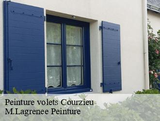 Peinture volets courzieu-69690 M.Lagrenee Peinture