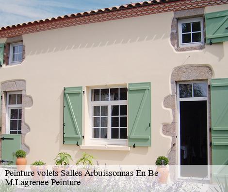 Peinture volets salles-arbuissonnas-en-be-69460 M.Lagrenee Peinture