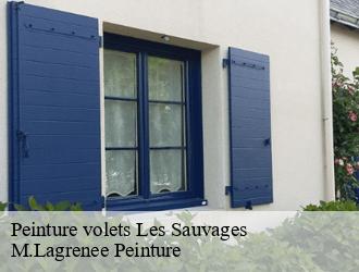 Peinture volets les-sauvages-69170 M.Lagrenee Peinture