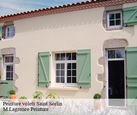 Peinture volets saint-sorlin-69440 M.Lagrenee Peinture