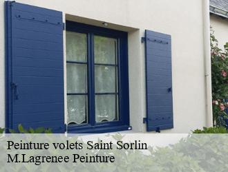 Peinture volets saint-sorlin-69440 M.Lagrenee Peinture