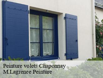 Peinture volets chaponnay-69970 M.Lagrenee Peinture