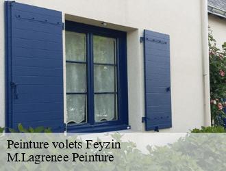 Peinture volets feyzin-69320 M.Lagrenee Peinture