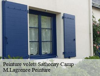 Peinture volets sathonay-camp-69580 M.Lagrenee Peinture