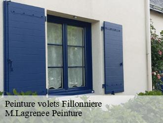 Peinture volets fillonniere-69440 M.Lagrenee Peinture
